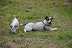 DSC_0172.jpg