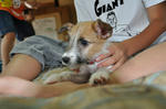 DSC_0068.jpg