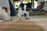 DSC_0071.jpg