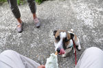 DSC_0177.jpg
