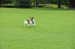DSC_0183.jpg