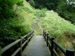 P1020640.jpg