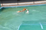DSC_0253.jpg