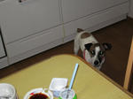 IMG_1092.jpg