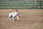 DSC_0126.jpg