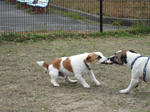 IMG_1474.jpg