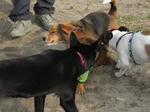 IMG_1462.jpg