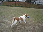 IMG_1476.jpg