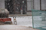 DSC_0018.jpg