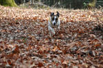 DSC_0100.jpg