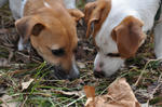 DSC_0188.jpg