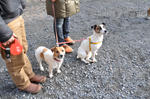 DSC_0193.jpg