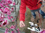 P1050099.jpg