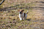 DSC_0262.jpg