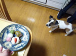 P1050141.jpg