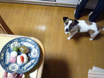 P1050142.jpg