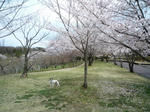 P1050217.jpg