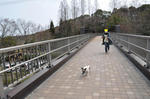 DSC_0175.jpg