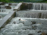 P1050916.jpg