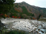 P1060759.jpg
