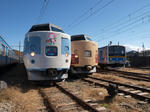 PB181239s.jpg