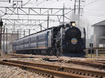 P8182608s.jpg