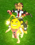 insu.JPG