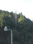 0387c548.jpg