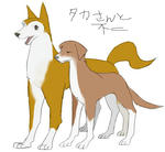dog5.jpg