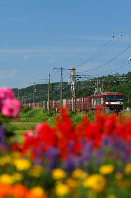 3062_11-08-27.jpg