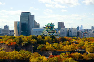 大阪城の紅葉