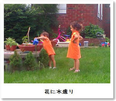 水遣り