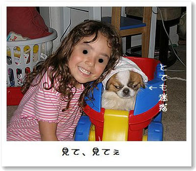 おしゃれちゃこ