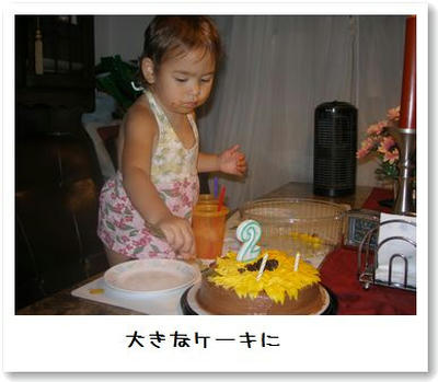 大好き、ケーキ