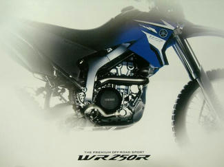 WR250R