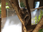 zoo_01.jpg