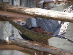 zoo_02.jpg