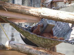 zoo_03.jpg