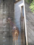 zoo_05.jpg