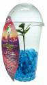 plant04.jpg