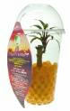 plant05.jpg