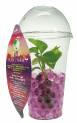 plant06.jpg