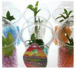 plant07.jpg