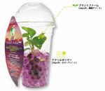 plant08.jpg