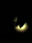 2006619.jpg