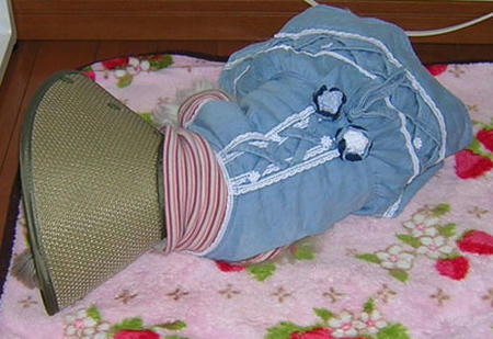 26.jpg
