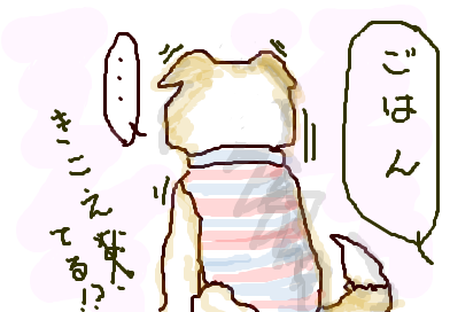 fimg_1268468328.png