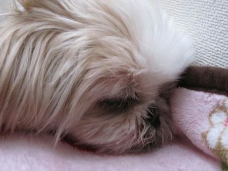 07056cbc.jpg