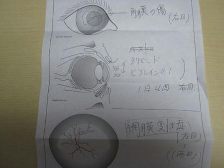 51ed7a02.jpg