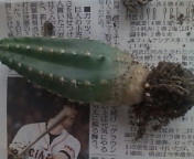 20090715143127.jpg